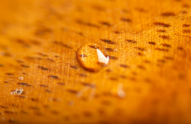 Мокрая деревянная поверхностьТекстурированные фоны