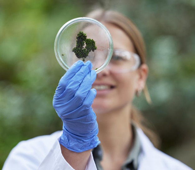 Foto wetenschap petrischaaltje en vrouw met mos in bosplanten in de natuur en studie van de groei van bacteriën voor duurzame analyse ecologie groen onderzoek en wetenschapper in bos voor de ontwikkeling van biotechnologie