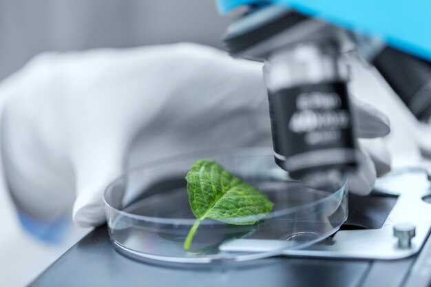 wetenschap, scheikunde, biologie en mensen concept - close-up van de hand van de wetenschapper met microscoop en groen blad maken van onderzoek in klinisch laboratorium