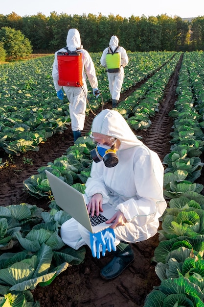 Wetenschapper die een witte beschermende uitrusting, een chemisch masker en een bril draagt, gebruikt laptop op het gebied van de boerderij.
