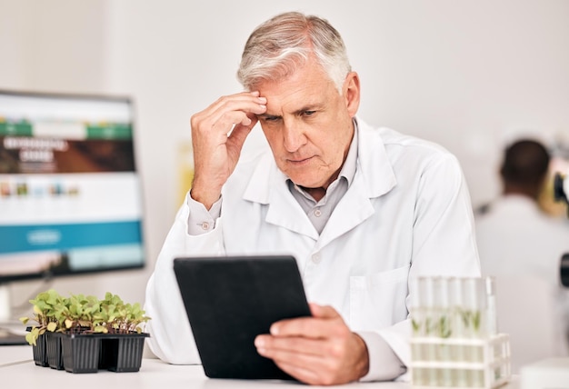 Wetenschapper planten en denken op tablet voor probleemoplossing in de landbouwoplossing en groeianalyse Wetenschapsarts of manager hoofdpijn voor digitale resultaten of duurzaamheidsonderzoek in laboratorium