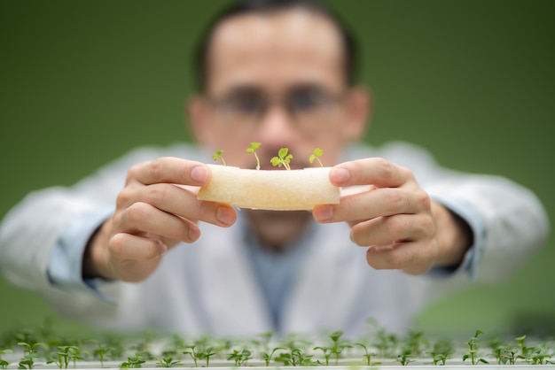 Wetenschapper werkt aan onderzoek in landbouw groene plant in biologie wetenschap laboratorium kas, biologische experiment test voor medische voeding biotechnologie, botanie ecologie bioloog in landbouw groei