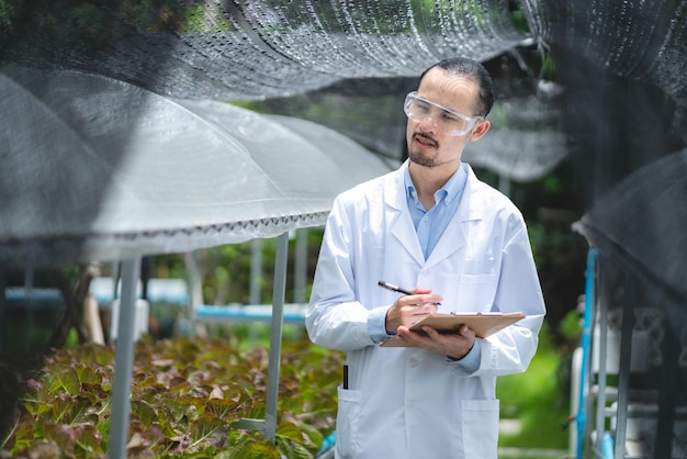 Wetenschapper werkt aan onderzoek in landbouw groene plant in biologie wetenschap laboratorium kas, biologische experiment test voor medische voeding biotechnologie, botanie ecologie bioloog in landbouw groei