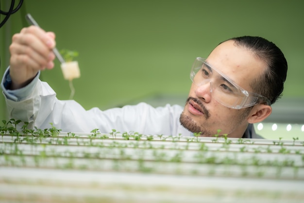 Wetenschapper werkt aan onderzoek in landbouw groene plant in biologie wetenschap laboratorium kas, biologische experiment test voor medische voeding biotechnologie, botanie ecologie bioloog in landbouw groei