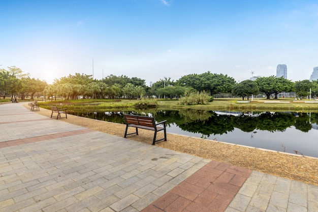 Wetland Park with Lake in Guangzhou, China