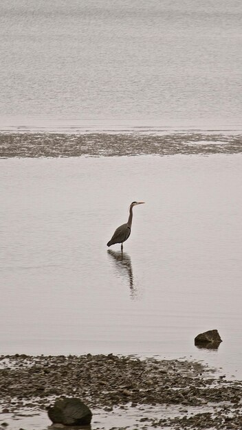 Photo wetland worldday 29