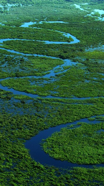 Photo wetland worldday 6