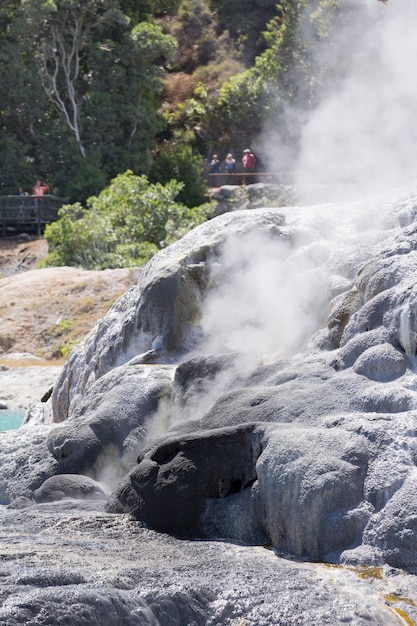 Whakarewarewa thermal geyser area