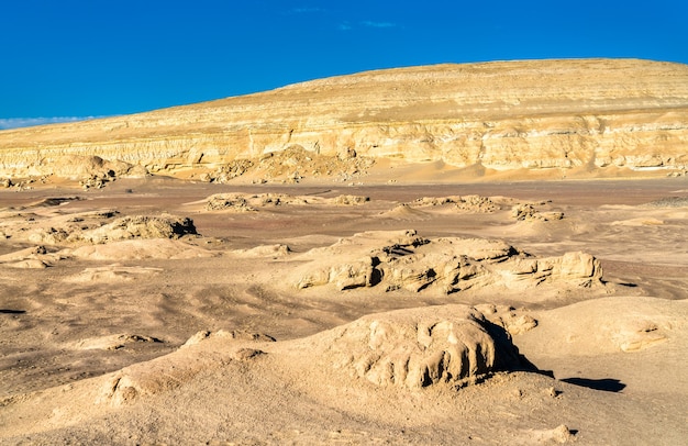 ペルー、オクカヘ砂漠のクジラの化石