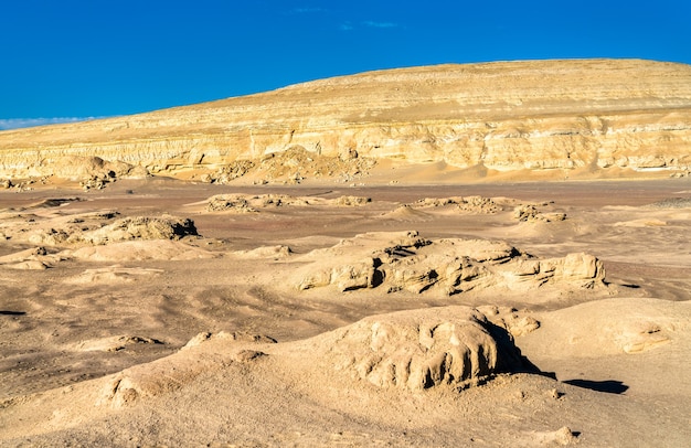 Photo whale fossils in the ocucaje desert, peru