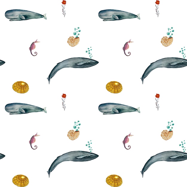 Whale shell sea horse seamless pattern. A watercolor isolated illustration. Hand drawn.