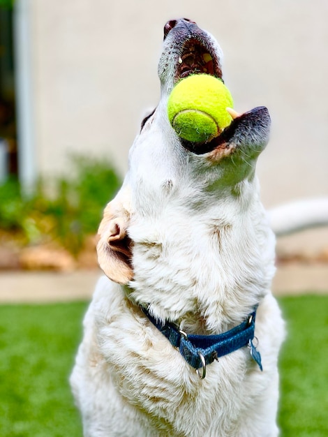 写真 なんてこった