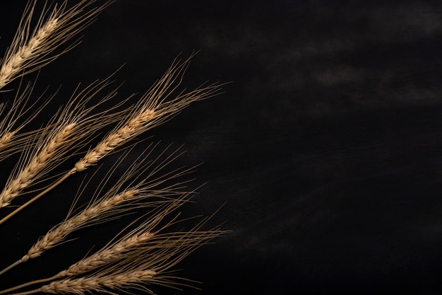 Wheat on the black background and texture