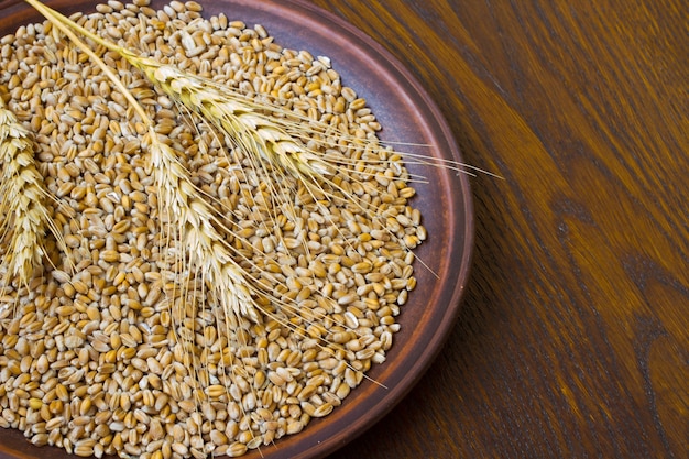 Photo wheat in the ceramic plate on table