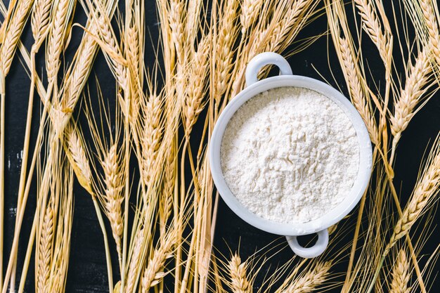 Spighe di grano e farina sul nero