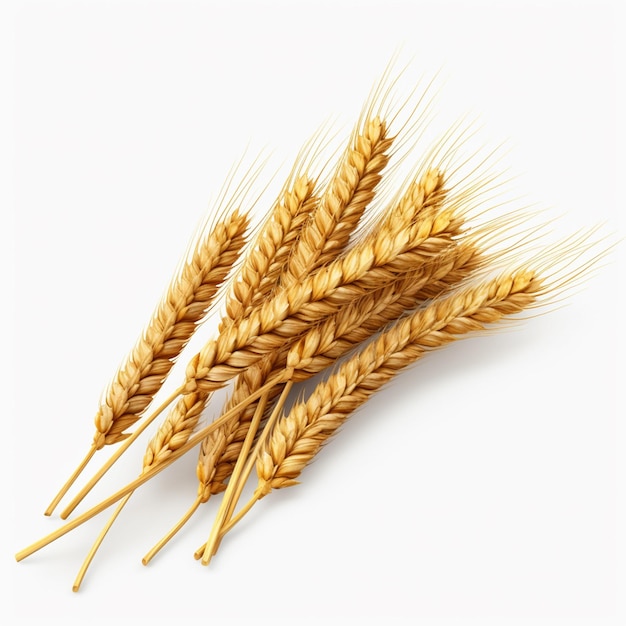 Photo wheat ears food white background