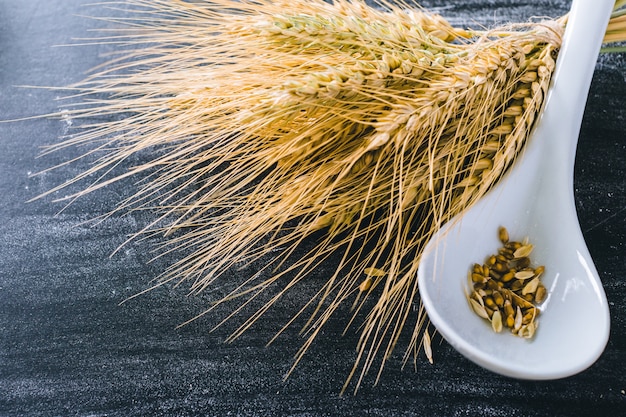 Photo wheat ears and grains on a spoon