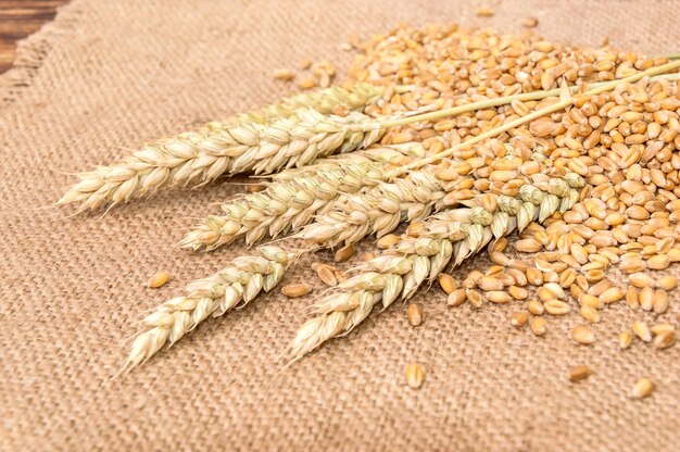 Wheat and ears on sacking