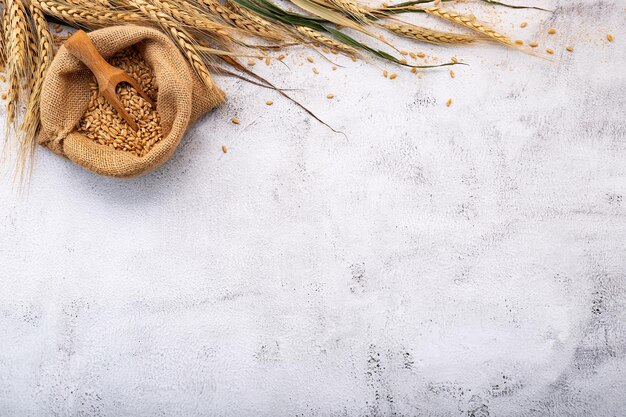 Photo wheat ears and wheat grains set up on white stone background