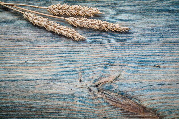 Wheat ears on wood