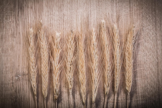 Wheat ears on wood