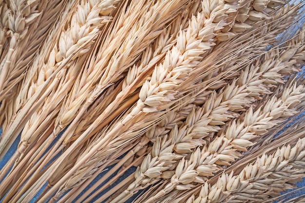 Wheat ears on wood