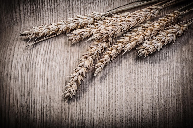 Wheat ears on wood