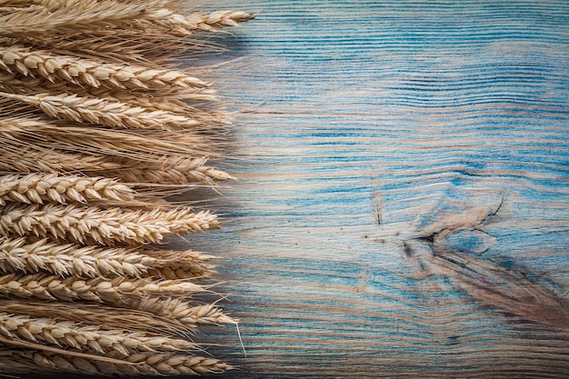Spighe di grano su legno