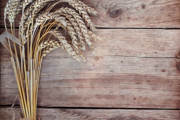 wheat ears on wooden background with empty copy space