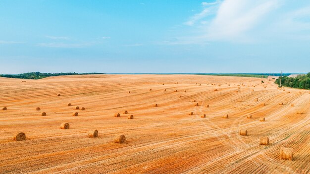 Wheat field after harvest with straw bales at sunset