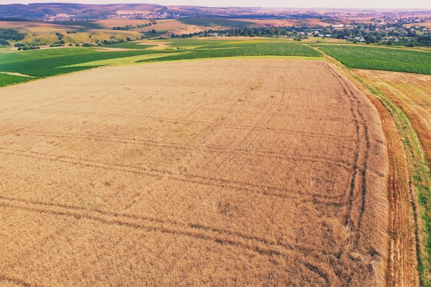 Wheat field in summer View from above Aerial view of the countryside