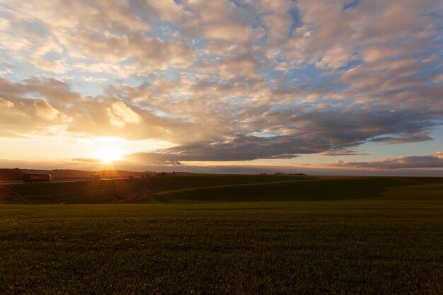 Wheat field with blue skies clouds Nature Landscape Rural Scenery in Ukraine Rich harvest Concept