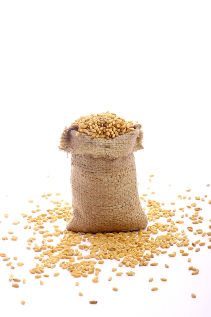 Wheat grain in bag 
