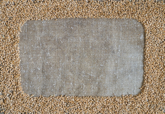 Wheat grain in the form of the frame on burlap