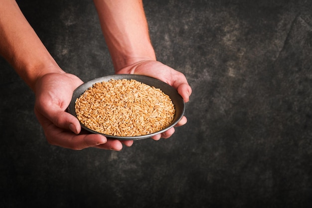 Grano di grano nel vecchio piatto nelle mani di un agricoltore maschio su grunge vecchio sfondo grigio scuro problemi con la fornitura di grano e farina approvvigionamento alimentare globale e concetto di crisi mondiale della fame mock up