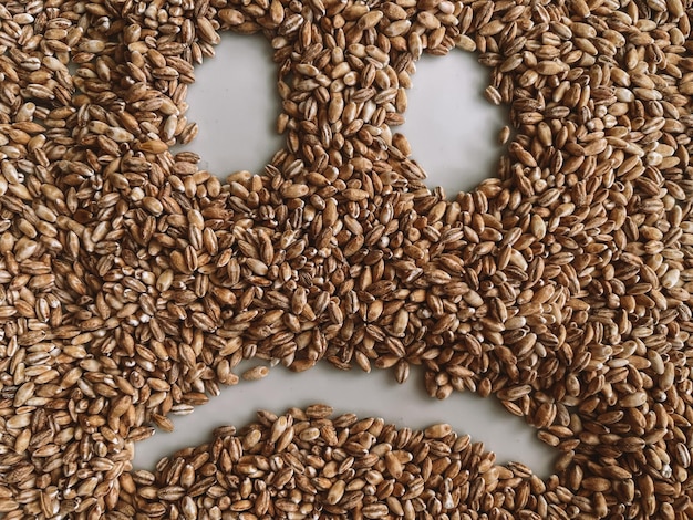 Wheat grain with sad face