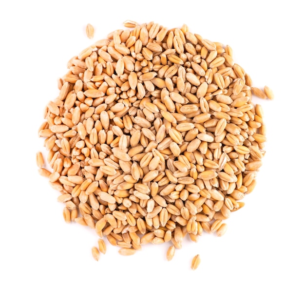 Wheat grains isolated