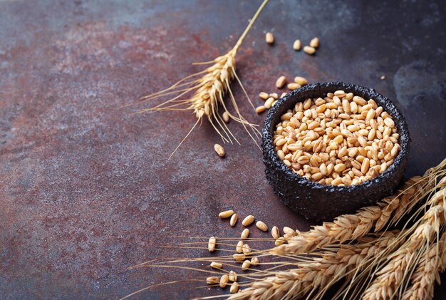 Wheat grains and spikelets on rusty background