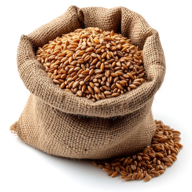 Wheat grains spilled out of a bag closeup view top Isolated on a white