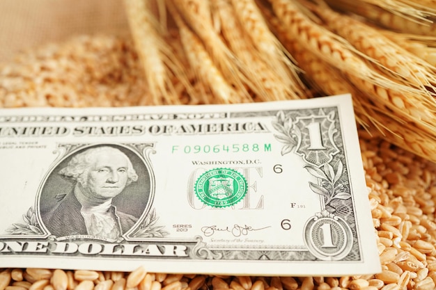 Wheat grains with US dollar banknotes trade export and economy concept