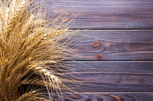 Wheat grains on wooden plank background Harvest concept