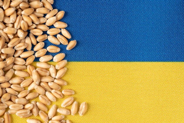 ウクライナの黄色と青の国旗に描かれた小麦の粒子 ウク라이나の穀物危機 グローバルな餓危機の概念