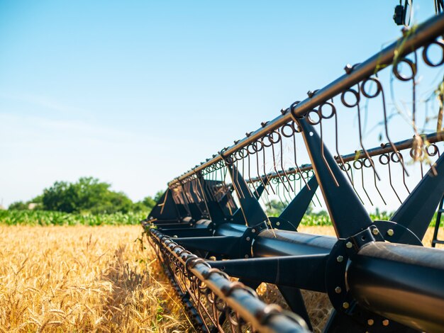 夏の小麦の収穫。フィールドで働く赤い収穫機。黄金の熟した小麦は、フィールドの農業機械ハーベスターを収穫します。
