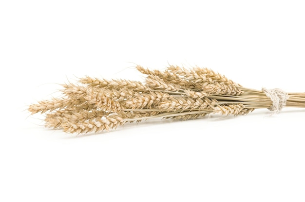 Wheat isolated on white background cutout