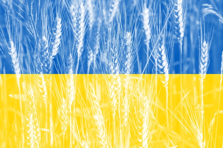 Фотография повышение цен на пшеницу в украине