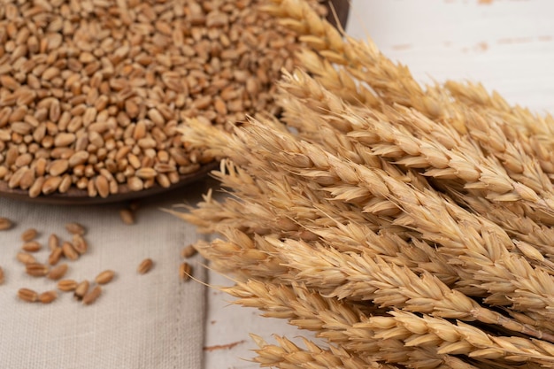 Photo wheat row seed and plant cereal wheat on white wooden desk top view of harvesting cooking prepare