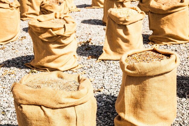 Wheat sacks during a sunny day in a warm  summer season