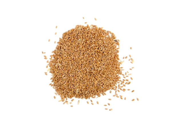 Wheat seeds white background isolate
