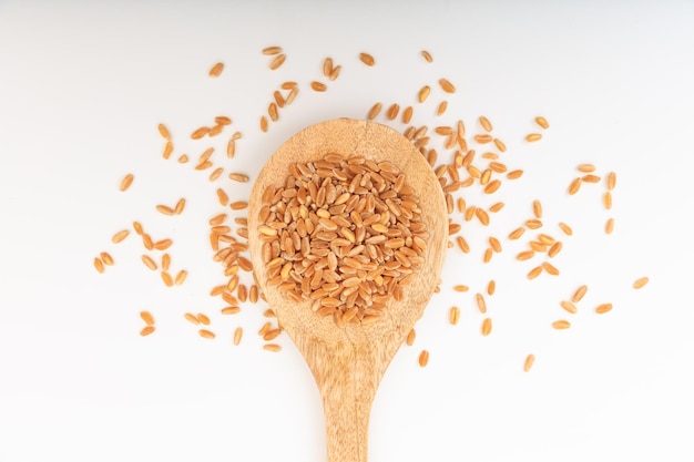 Wheat seeds in a wooden spoon