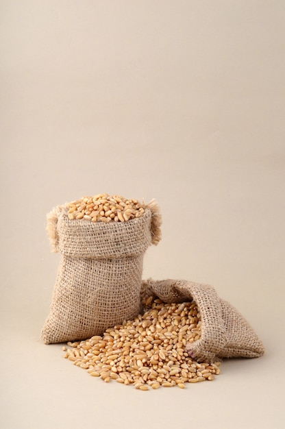 Wheat in small sack on background, Close up.